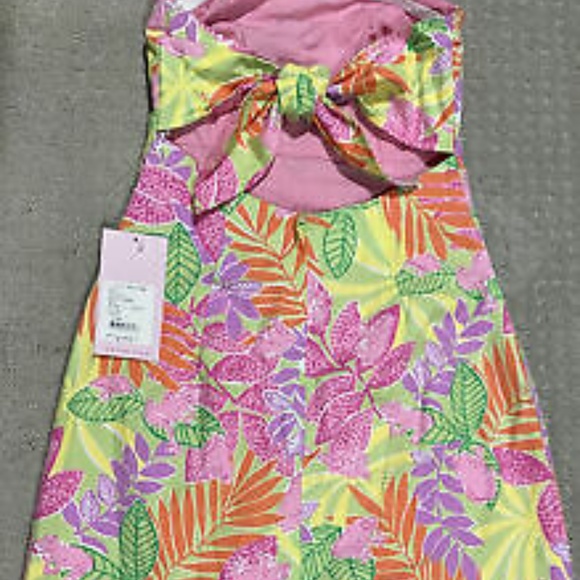 Lilly Pulitzer Sabrina Bottoms Up Dress sz 0 NWT - Picture 2 of 9